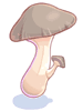 Edible Mushroom - Ragnarok Zero item icon