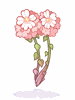 [Costume] Persica - Ragnarok Zero item icon