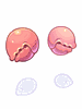 [Costume] Claw Hairpin (Bound) - Ragnarok Zero item icon