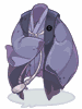 Wanderer Outer - Ragnarok Zero equipment icon