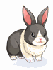 [Costume] Panda Rabbit (Bound) - Ragnarok Zero item icon