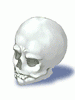 Skull - Ragnarok Zero item icon