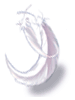 Soft Feather - Ragnarok Zero item icon
