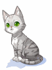 [Costume] American Shorthair Cat (Bound) - Ragnarok Zero item icon