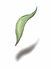 [Costume] Romantic Leaf (Bound) - Ragnarok Zero item icon