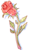 Witherless Rose - Ragnarok Zero item icon
