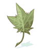 Huge Leaf - Ragnarok Zero item icon