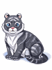 [Costume] Tiger - Black (Bound) - Ragnarok Zero item icon
