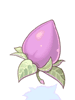 Mastela Fruit - Ragnarok Zero item icon