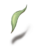 Romantic Leaf - Ragnarok Zero equipment icon