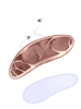 Thick Pork Belly - Ragnarok Zero item icon
