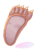 Bear's Footskin - Ragnarok Zero item icon