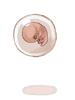 Embryo - Ragnarok Zero item icon