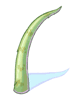 Pointed Scale - Ragnarok Zero item icon