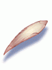 Claw of Rat - Ragnarok Zero item icon