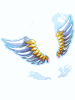 [Costume] Sword Wing (Bound) - Ragnarok Zero item icon