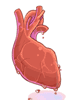 Mermaid's Heart - Ragnarok Zero item icon