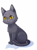 [Costume] Black Cat (Bound) - Ragnarok Zero item icon