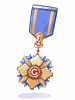 Guild Medal - Ragnarok Zero item icon
