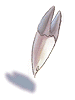 Fang - Ragnarok Zero item icon