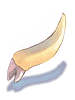 Zenorc's Fang - Ragnarok Zero item icon