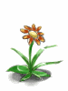 [Costume] Fancy Flower (Bound) - Ragnarok Zero item icon