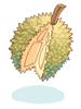 Prickly Fruit - Ragnarok Zero item icon