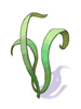 Singing Plant - Ragnarok Zero item icon