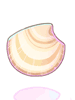 Clam Shell - Ragnarok Zero item icon