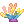 Fancy Coral Reef