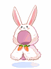 [Costume] Fluffy Bunny Cape (Bound) - Ragnarok Zero item icon