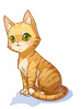 [Costume] Brown Tabby Cat - Ragnarok Zero item icon