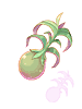 Yggdrasil Seed - Ragnarok Zero item icon