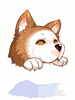 [Costume] Husky Hat - Ragnarok Zero item icon
