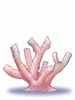 Coral Reef - Ragnarok Zero item icon