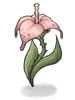 Wild Flower - Ragnarok Zero item icon