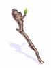 Yggdrasil Staff - Ragnarok Zero item icon