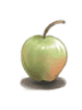 Unripe Apple - Ragnarok Zero item icon