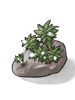 Dew-Laden Moss - Ragnarok Zero item icon