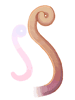 Yoyo Tail - Ragnarok Zero item icon