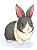[Costume] Panda Rabbit - Ragnarok Zero item icon