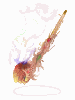 [Costume] Captain's Pipe - Ragnarok Zero item icon
