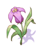 Hinalle - Ragnarok Zero item icon