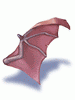 Wing of Red Bat - Ragnarok Zero item icon