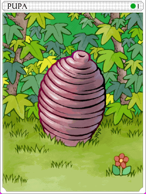 Pupa Card - Ragnarok Zero card icon