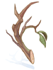 Strong Branch - Ragnarok Zero item icon