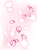 [Costume] Fluttering Blossom - Ragnarok Zero item icon