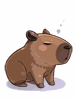 [Costume] Capybara - Ragnarok Zero item icon