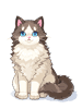 [Costume] Ragdoll - Ragnarok Zero item icon