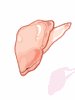 Contaminated Shell Meat - Ragnarok Zero item icon